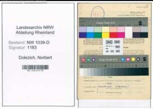 Entnazifizierung Norbert Dolezich , geb. 16.02.1906 (Assessor)
