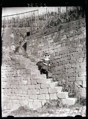 Weinberge 1913