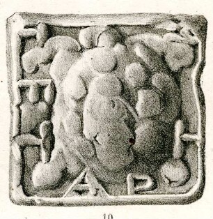 Viertelmine. Quadratisches Bleigewicht mit ganzer Schildkröte und griechischer Inschrift: TETAPTH