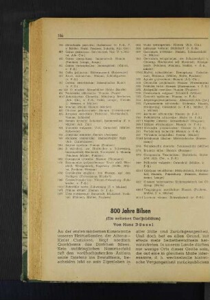 800 Jahre Bilsen
