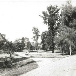 Cottbus. Brunschwig-Park (Rest des ehemaligen Gutsparkes am Haus Brunschwig, Lieberoser Straße 12). Blick nach Nordwesten
