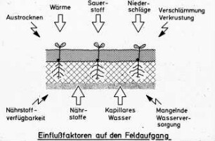 Einflußfaktoren auf den Feldaufgang