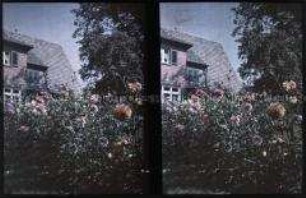 Wohnhaus mit Garten in Auerbach
