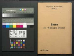 Johann Jobst Nieländer zu Heiden (sein antecessor in matrimonio war Lülff Nieländer) gegen die Erben des Superintendenten Pleßmann, Pastor Krecke zu Heiden und Pastor Pleßmann zu Oerlinghausen, wegen der Ausstellung eines Kaufbriefes