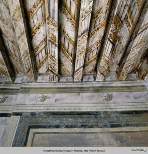 Villa Tonello Zampiero, Arten di Fonzaso