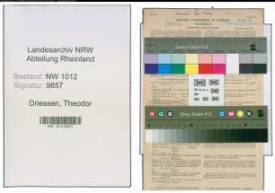 Entnazifizierung Theodor Driessen , geb. 25.06.1895 (Schaffner)