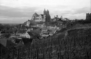 Breisach: Blick vom Eckartsberg auf Stadt und Münster, Vordergrund Rebhang