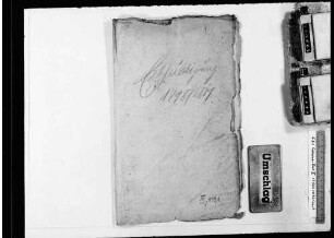 Erbhuldigung Herzog Friedrichs II. 1798 und Erbhuldigung König Wilhelms I. 1817