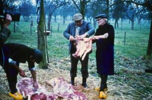 Zerteilung eines Schweins