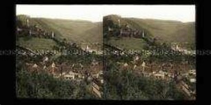 Blick auf Burg Hirschhorn und Häuser