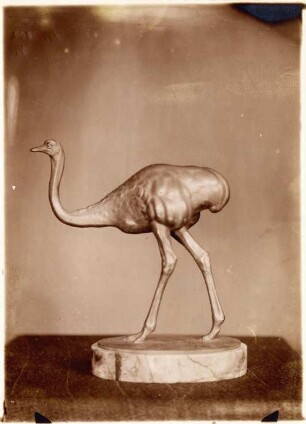 Vogel Strauß (Statuette) : Vogel Strauß (Statuette). Bronze auf Marmorsockel (vor 1929; M. Molitor)