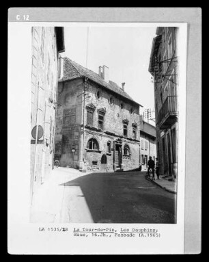 Les Dauphins
