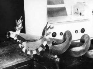 Schnecke für mech. Fütterung