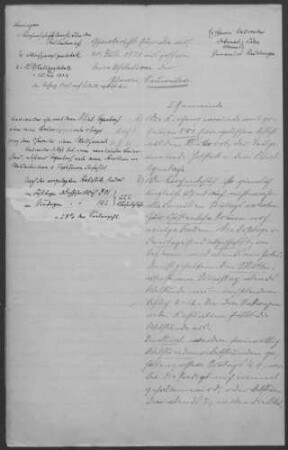 Neuweiler (Lkr. Calw) mit Hofstett und Agenbach: Pfarrbericht 1924