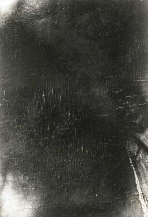 Der Zinsgroschen : Vecellio, Tiziano gen. Tizian. Der Zinsgroschen. Ausschnitt. Aufnahme für Restaurierungszwecke. Dresden: Gemäldesammlung Alte Meister Kat. 1930 Nr. 169