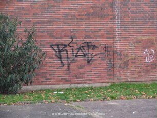 Riot