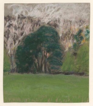[Wiese und Bäume]