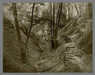Bei Buckow (Märkische Schweiz). Wanderweg in der Silberkehle