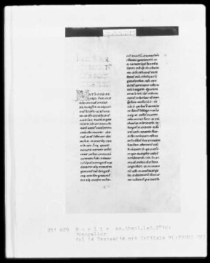 Evangeliar — Initiale M(ATHEUS EX), Folio 14recto