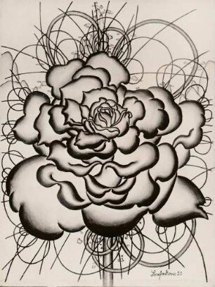 Offene Rose