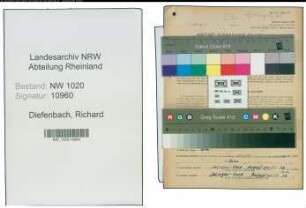 Entnazifizierung Richard Diefenbach , geb. 09.08.1910 (Technischer Angestellter)