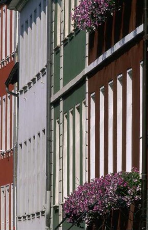 Deutschland. Baden Württemberg. Heidelberg. Häuserfront mit Blumenschmuck
