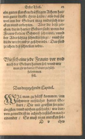 Wie sich eine jede Frauw vor und nach der Geburt halten sol ... Das dreytzehendt Capitel.