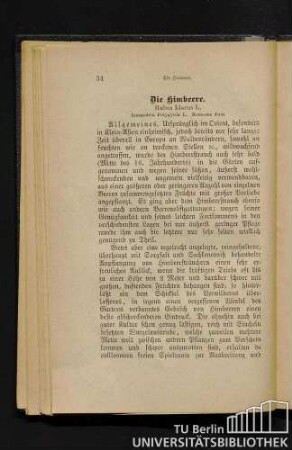 Die Himbeere. Rubus Idaeus L.
