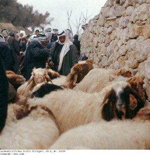 Israel: Am Löwentor