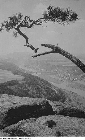 Blick auf Bad Schandau