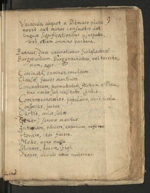 Fasz. IX: Vocabula aliquot a Ditmaro plane novis aut minus... 49v-51r = Lat.-deutsches Glossar