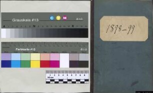 Konzertprogramme von Julius Otto Grimm 1898 - 1899