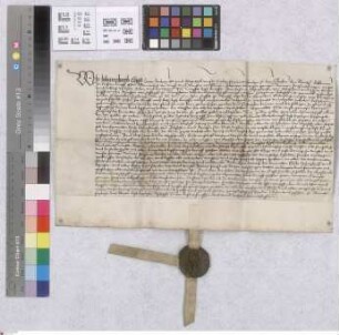 Biebesheim: Johann Jacob Leist Dechant und Capitel der Liebfrauenkirche zu den Greden Leihbrief für Schneydersschen v. Biebesheim über 24 Morgen W...