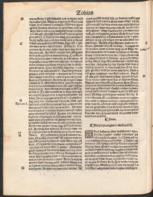 Incipit prologus in librum iudith.