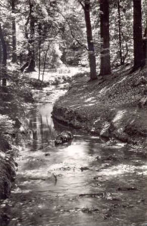 Naturschutzgebiet Donoperteich. Detmold. Hiddesen