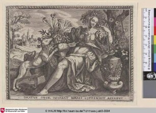 Gratus odor recreat nares offendit acerbus [Der Geruch]