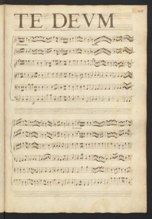 Te Deum; Coro (2), i (6), b; C-Dur; LWV 55