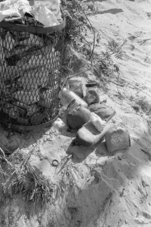 Ostseeküste. Müllkorb und weggeworfene Lebensmittel am Strand