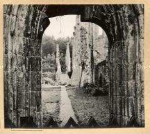Walkenried/Harz, Klosterruine