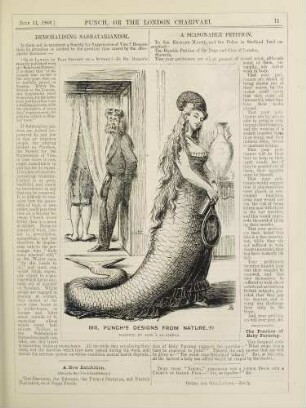 Mr. Punch's designs from nature