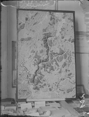 Relief vom Neißetal. Zittau: Heimatmuseum