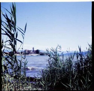 Wasserburg: Blick auf See, Vordergrund Schilf