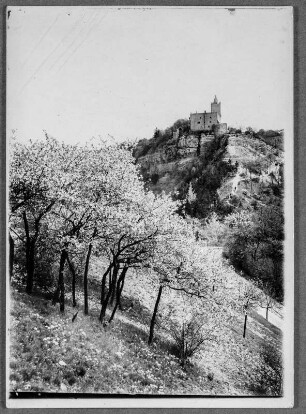 Blütenpracht um die Rudelsburg : Bad Kösen. Rudelsburg. Ansicht von Westen mit Palas
