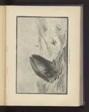 A FIGHT WITH A GIANT