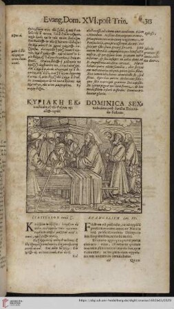 Dominica sextadecima post Sanctæ Trinitatis Festum