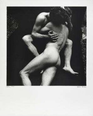 Ohne Titel (aus der Serie: Un chant d'amour, VI)