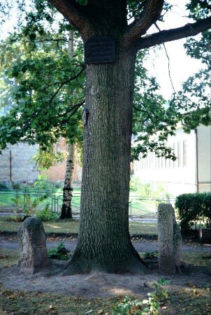 Mönchssteine im Kurpark