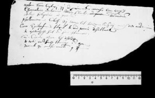 Beilage 2: Zettel mit Notizen Georg Palmas