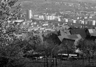 Lörrach, Tüllingen: Von Tüllingen (alte Dächer) auf Stetten und Grenze
