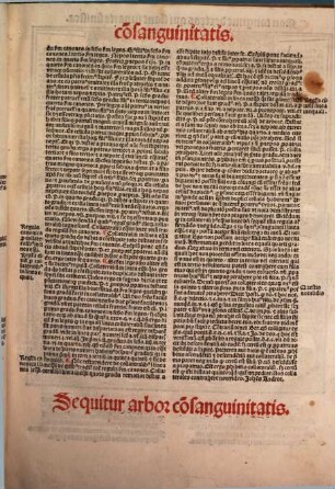 Sextus Liber Decretaliu[m] Casus litterales & Notabilia domini Helie regnier complexus